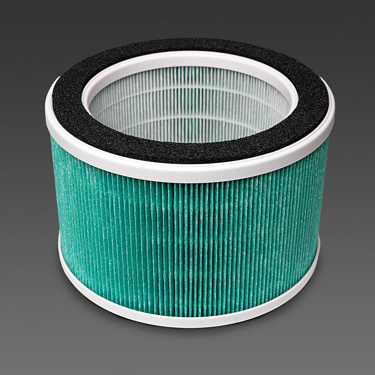 4BLANC Maestro putekļu savācēja filtrs 2024