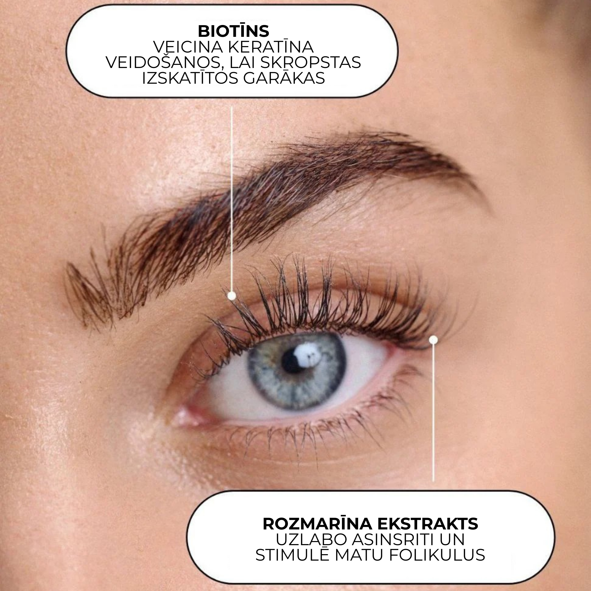 XLASH ripsmeseerum - ripsmeseerum, 5ml