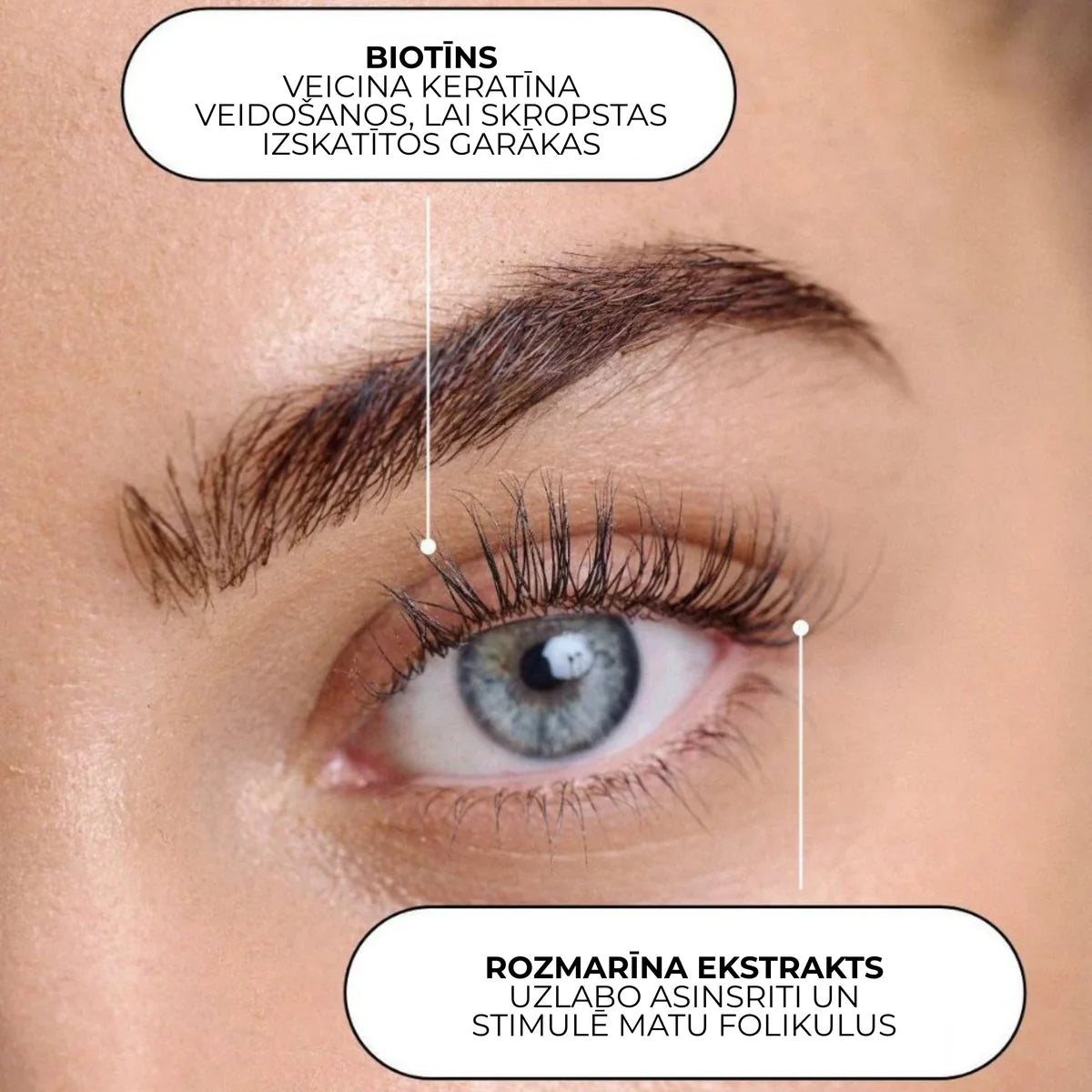 XLASH Õhturutiini komplekt