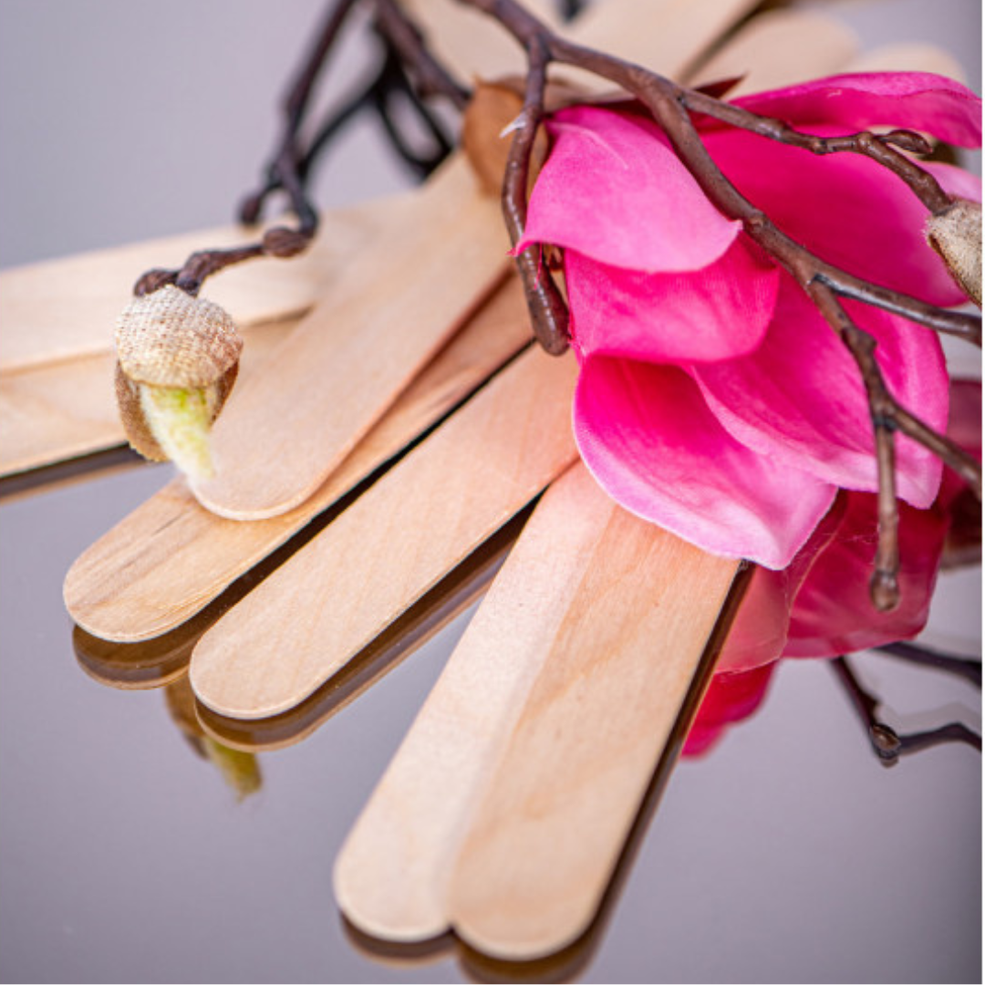 PW Puidust spaatel 100 tk 14cm x 0.5cm