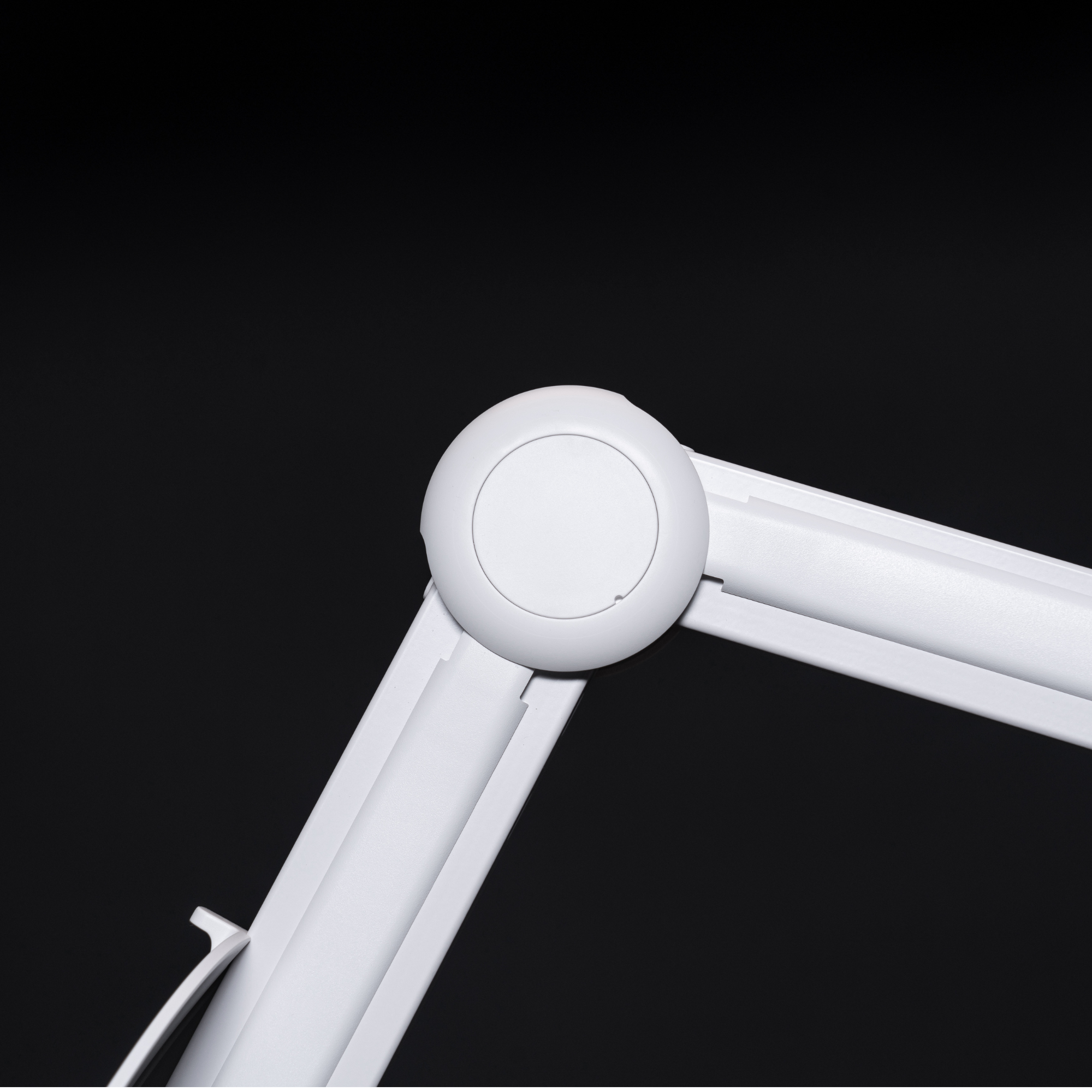 Светодиодная лампа с увеличительным стеклом Daylight iQ Pro™ [E25105]