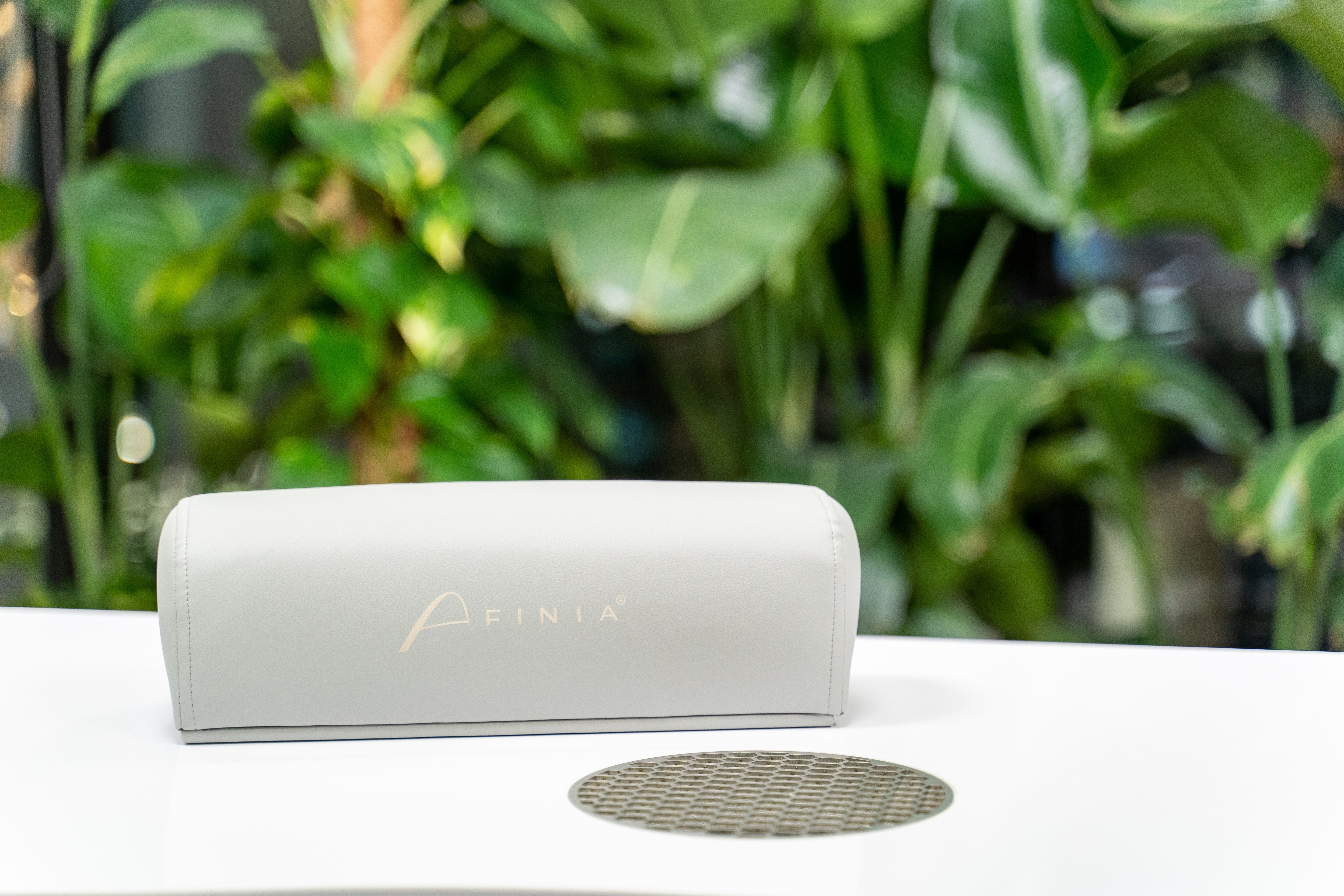 Afinia käetugi (Hall)