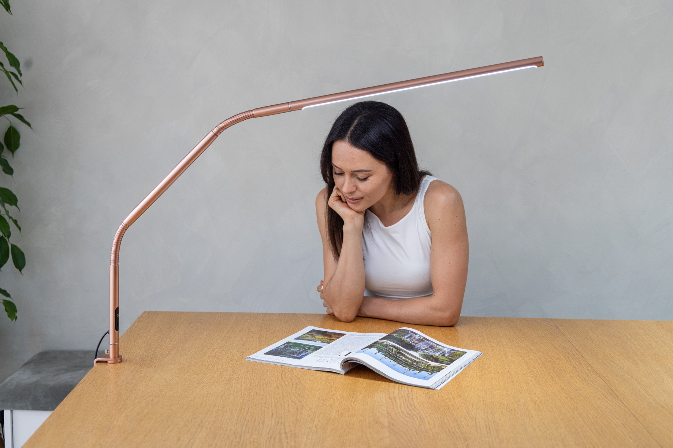 Настольная светодиодная лампа дневного света с кронштейном [Slimline 4 Rose Gold]